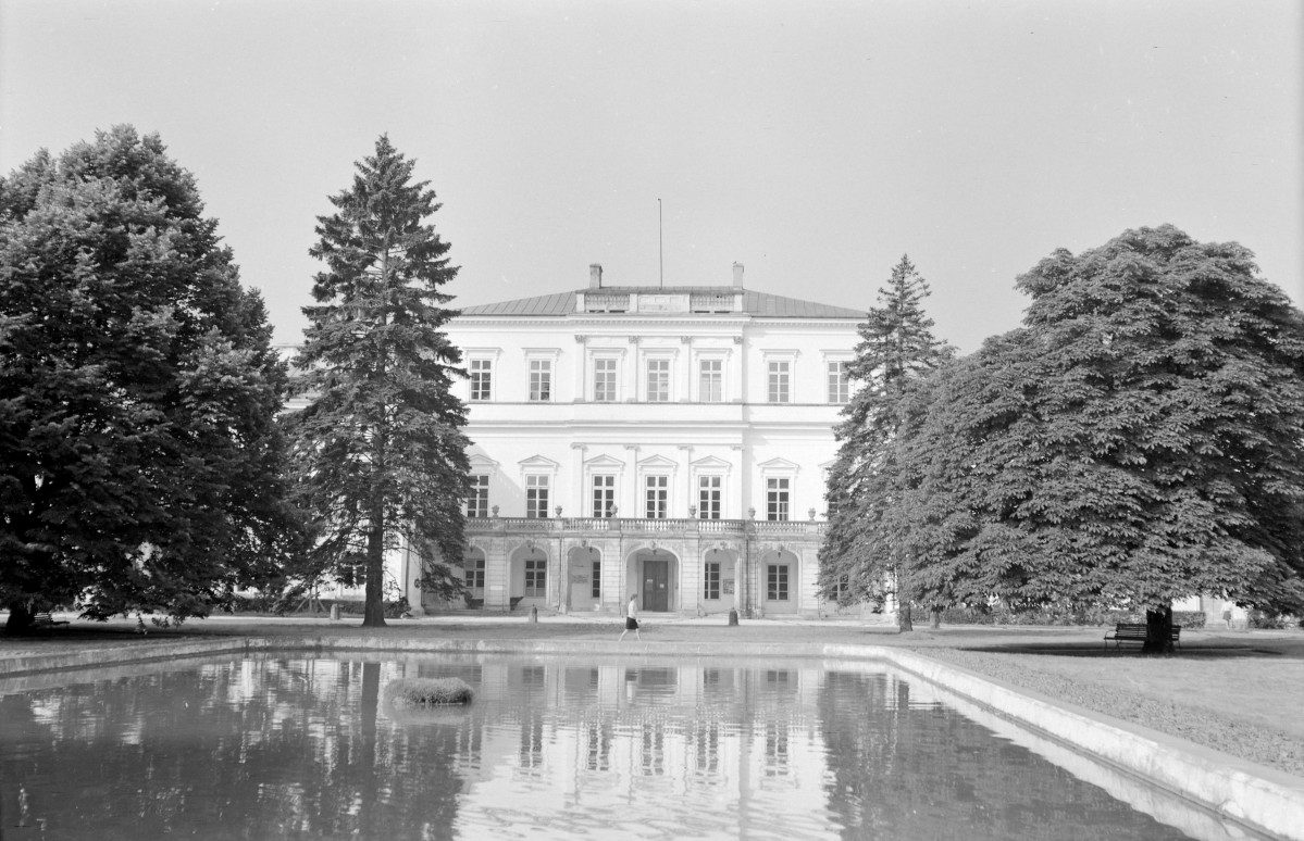 pałac Czartoryskich - elewacja frontowa - fragment, skan 1
