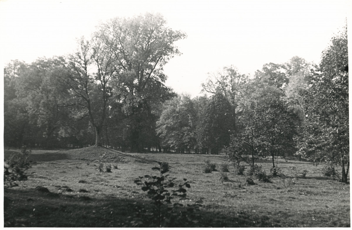 Zespół pałacowo - parkowy,  fragment parku - polana, skan 1