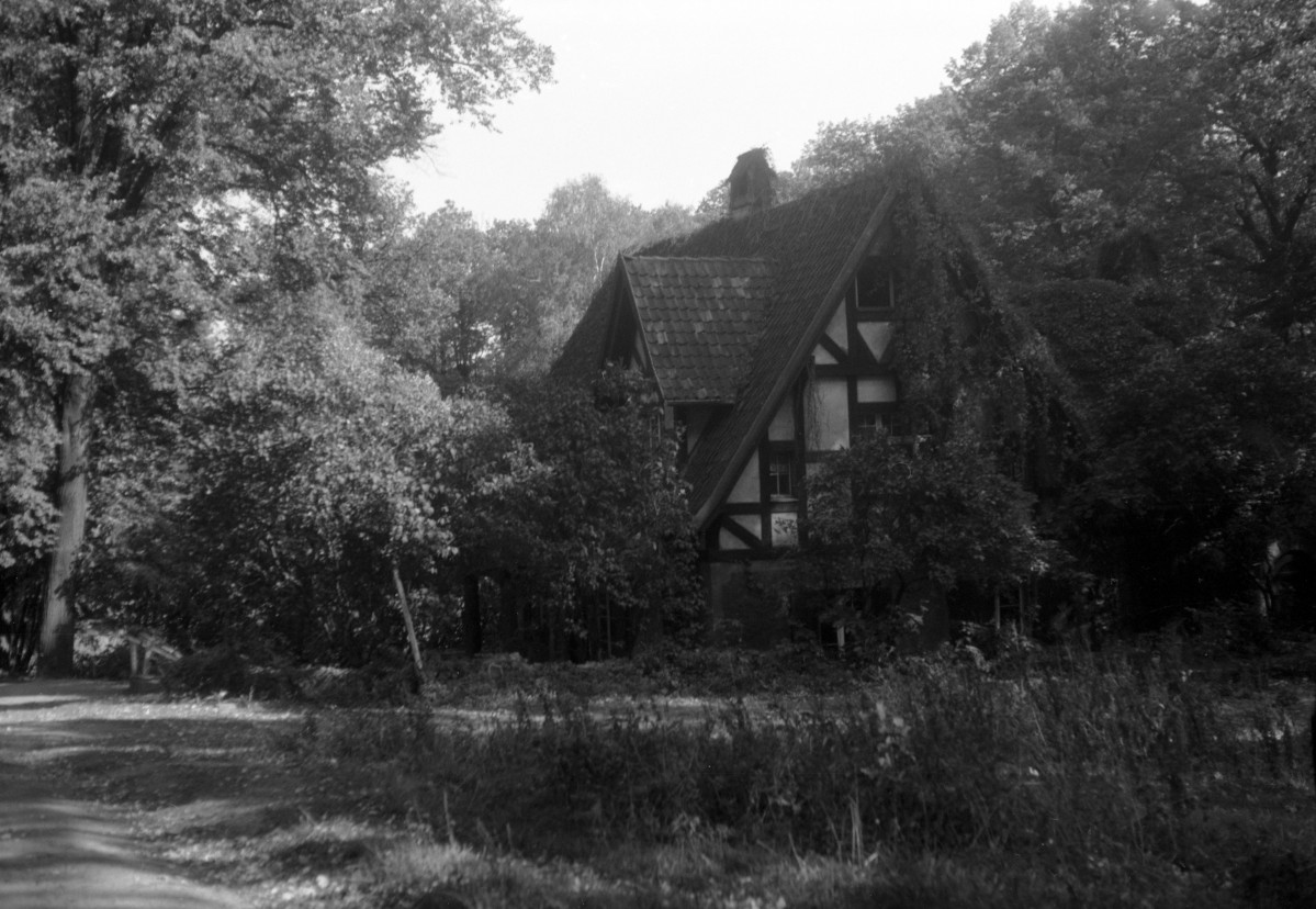 opactwo Cystersów - panorama parku krajobrazowego - widok z wiezy kościelnej, skan 1