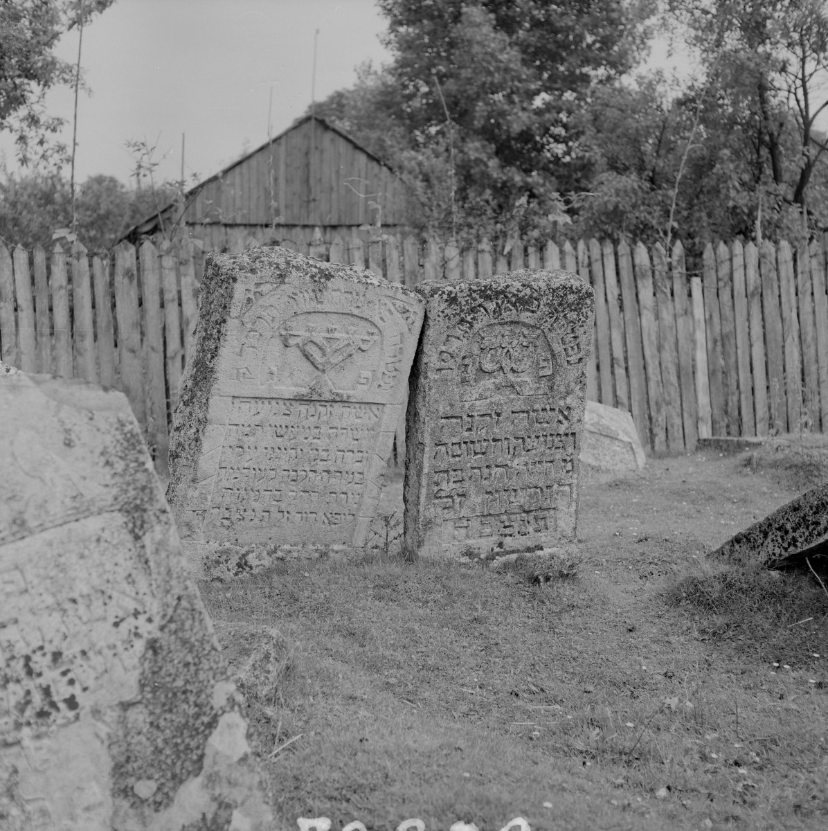 Cmentarz, Kirkut - macewy, skan 1