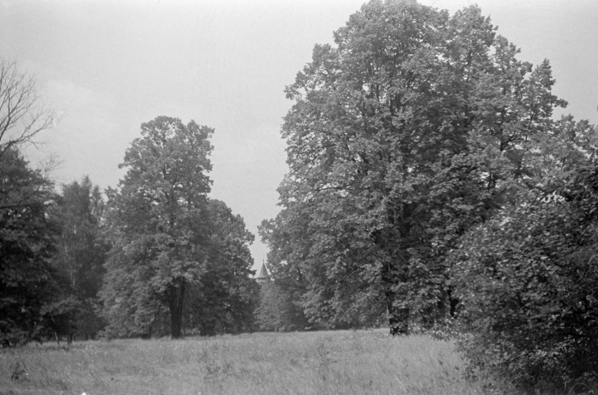 zamek Komorowskich - park, skan 1