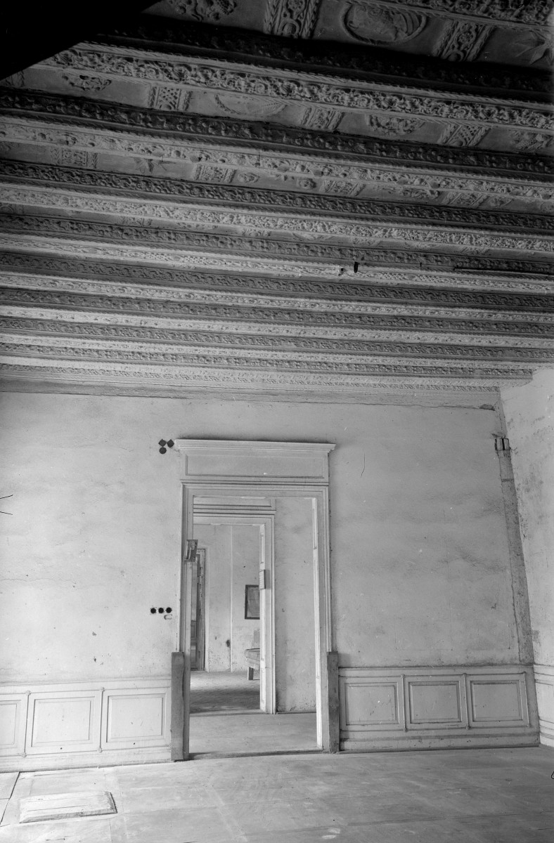 zespół pałacowo - folwarczny - pałac /zamek/ von Kottwitzów - wnętrze - parter /Sala Balowa/ - sala - fragment z bogato zdobionym stropem oraz portalem do sali następnej, skan 1