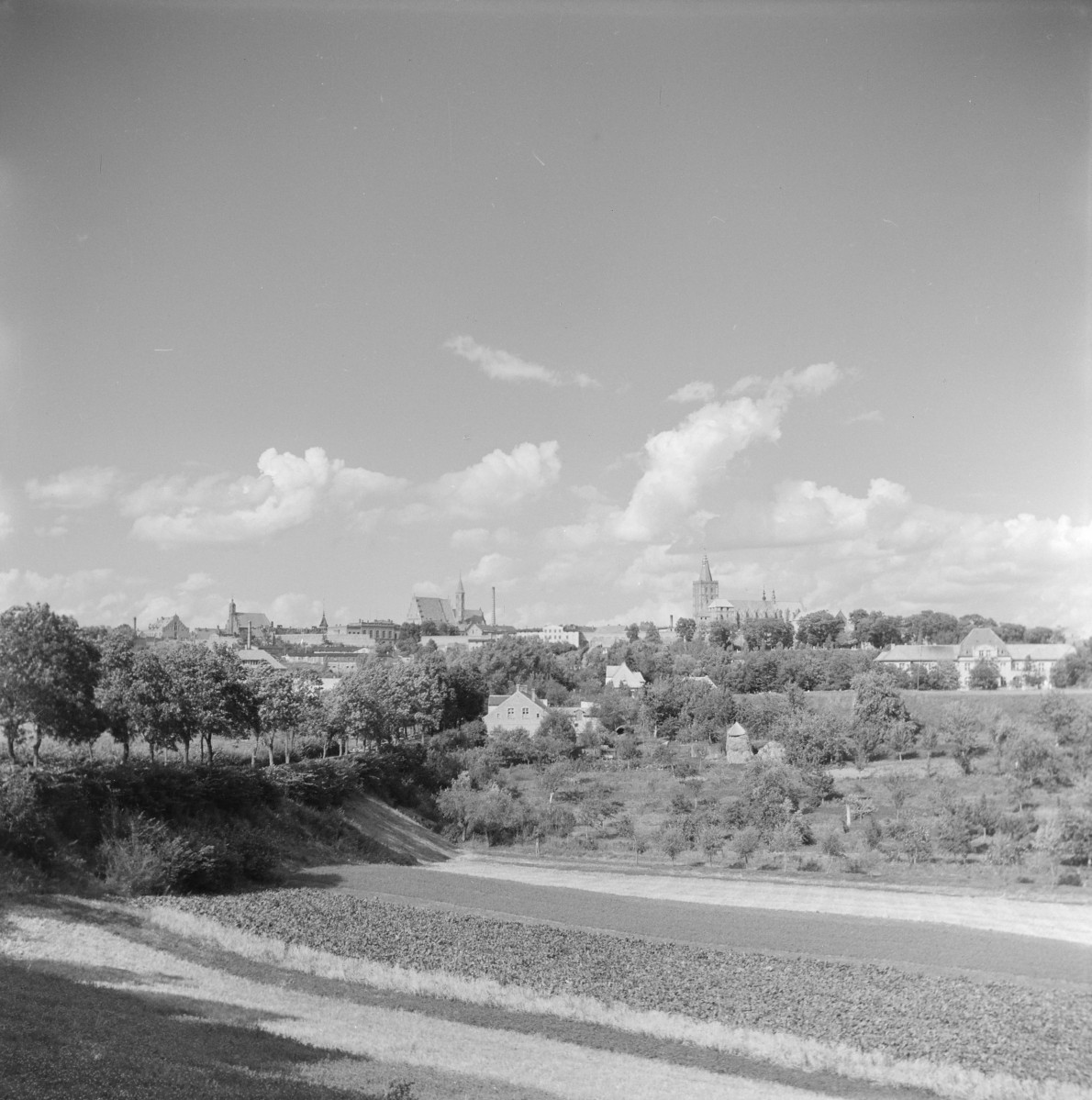 Panorama miasta od strony płn. Widoczne: wieża ciśnień, kościół archiprezbiterialny oraz kościół pofranciszkański. Poniżej zabudowa miesjaka., skan 1