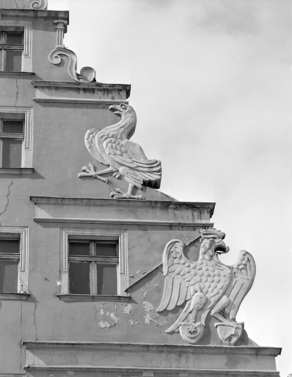 Rynek - kamienica "Pod Gryfami", elewacja frontowa, fragment szczytu, detale, skan 1