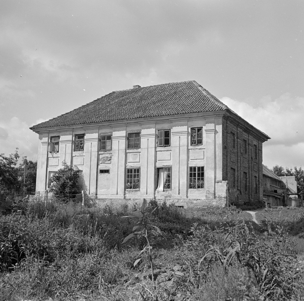 pałac Sanguszków - oranżeria, elewacja, skan 1