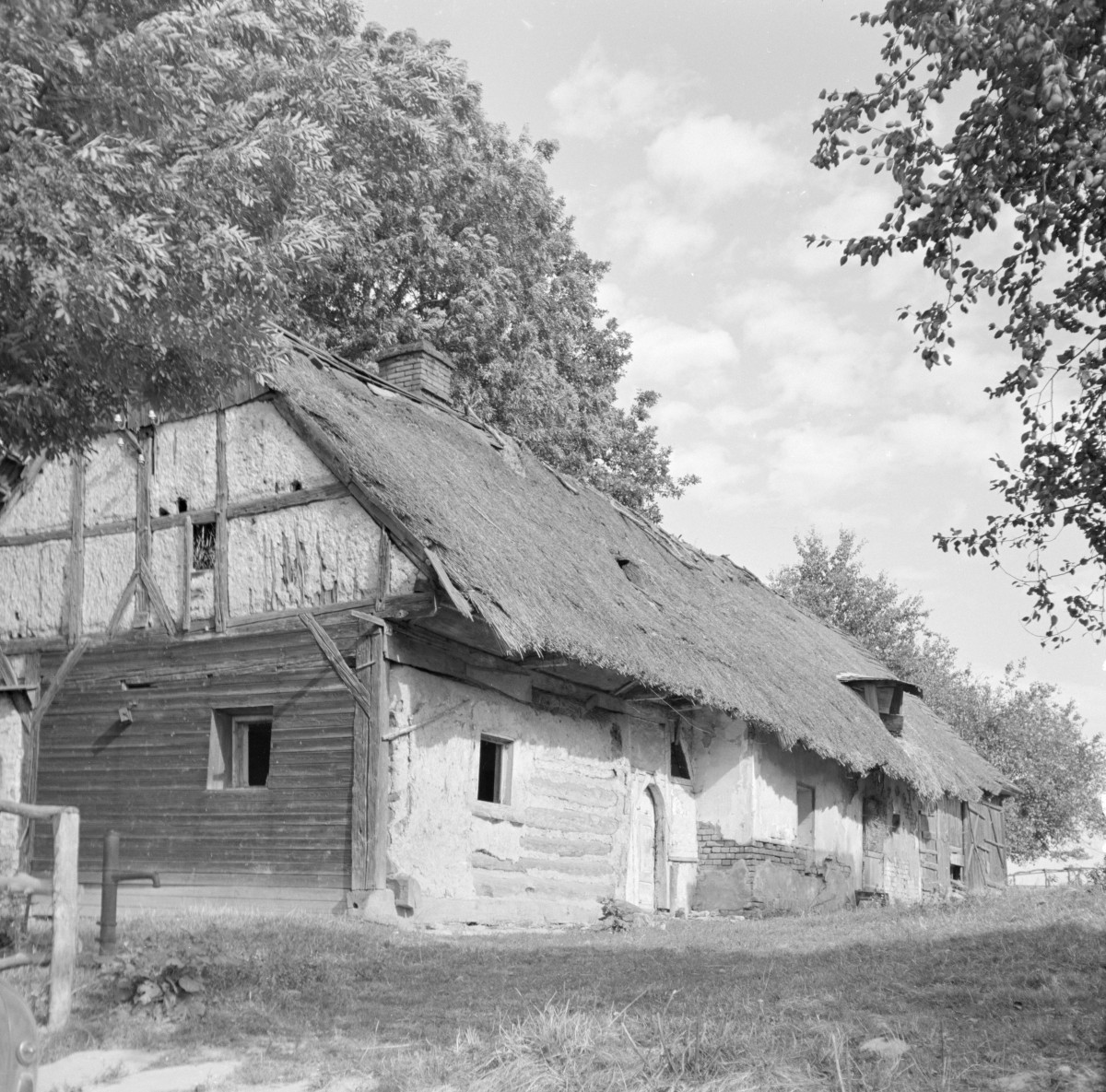 chałupna nr 243 - elewacja, skan 1