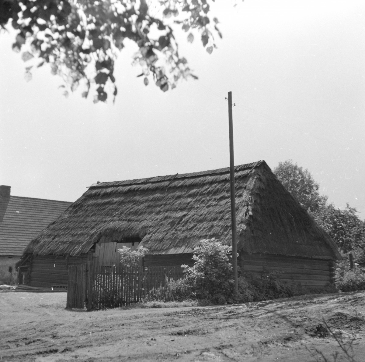stodoła - elewacja od strony drogi, skan 1