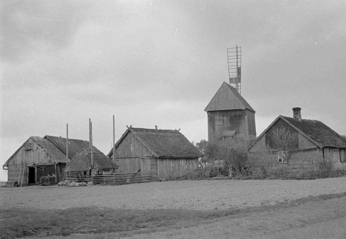zagroda młynarska - widok ogólny, skan 1