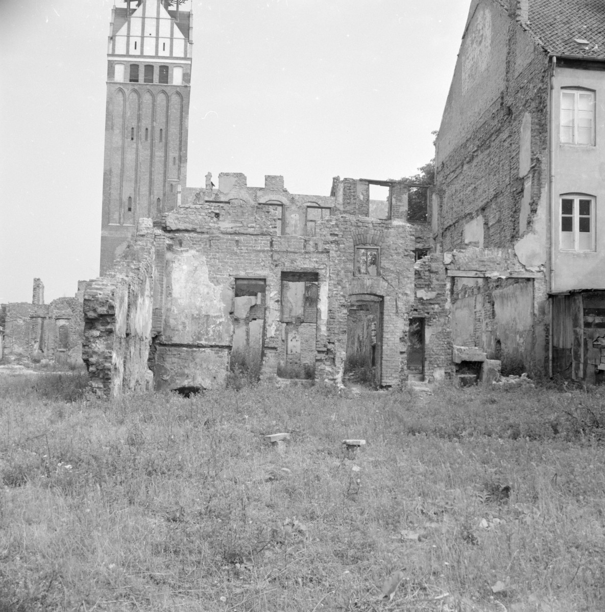 kamienica przyległa do muzeum (resztki) - elewacja południowa, skan 1