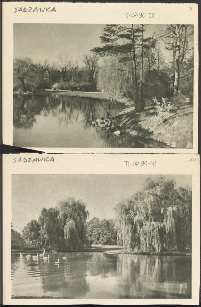 materiał roboczy do publikacji „Ogrody Polskie” (wyd. 1954): „Rys. 383, Sadzawka w Parku Ujazdowskim w Warszawie”, „Rys. 385. Park Skaryszewski w Warszawie (F. Szamir)”, „Rys. 388. Fragment Parku Skaryszewskiego”, skan 2