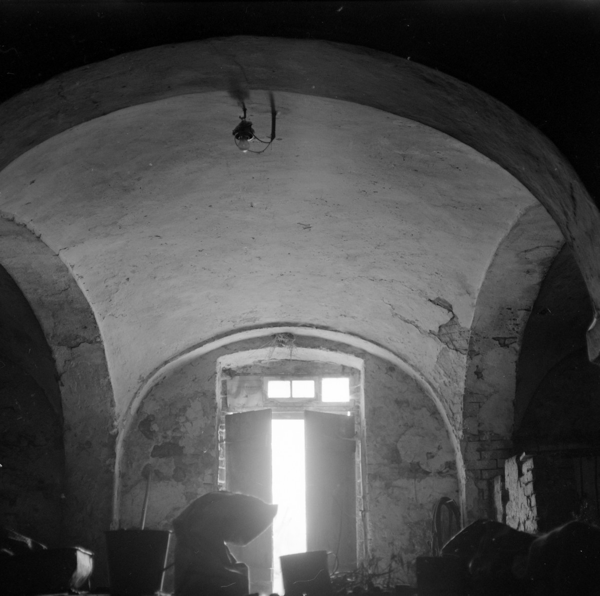 zespół zagrodowy - dom nr. 52 / stodoła - wnętrze - piwnica, skan 1