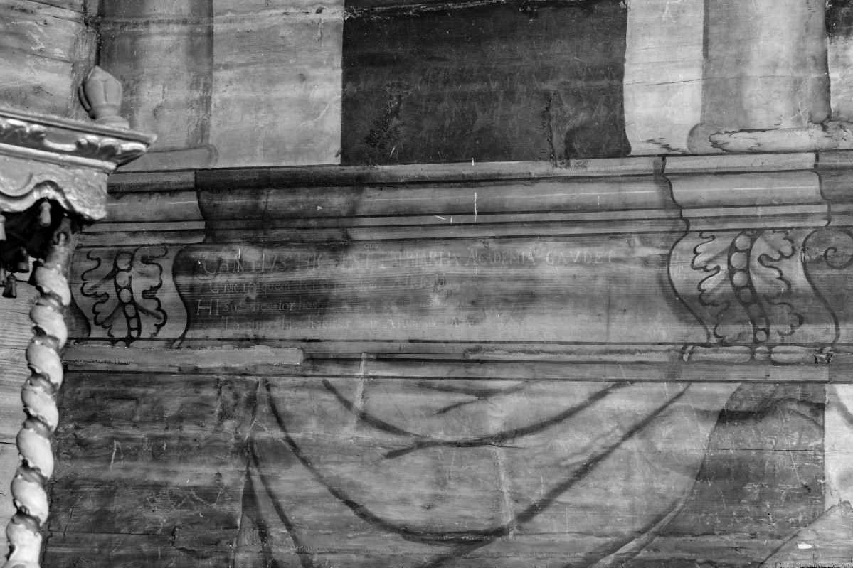 kościół pw. św. Elżbiety Węgierskiej - wnętrze - nawa główna - polichromia - fragment, skan 1