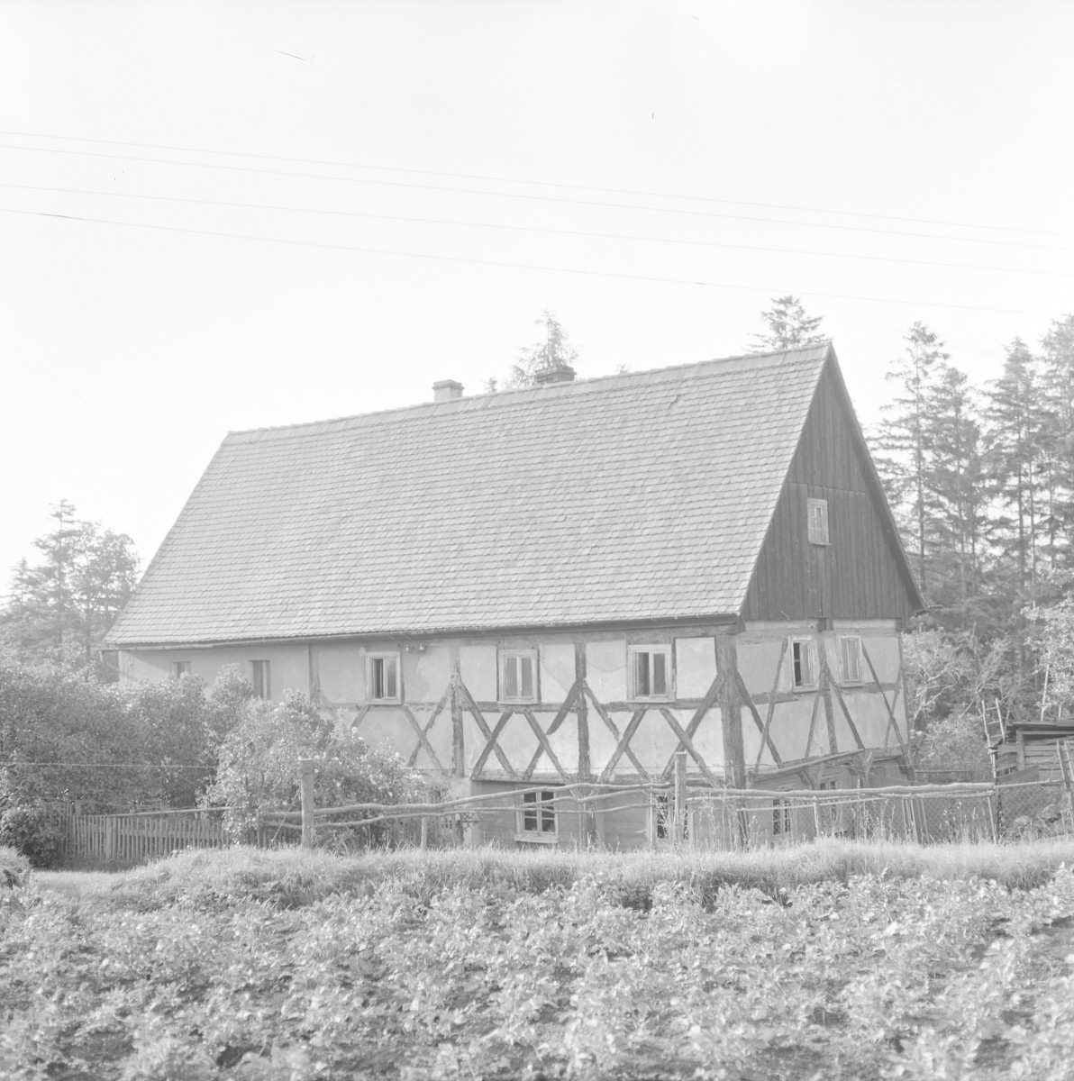 zespół zagrodowy - dom nr. 33 /pierwotnie?/ - widok ogólny, skan 1