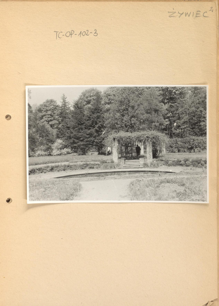 fotografia czarno-biała na karcie, widok pergoli obrośniętej pnączem, położonej nad sadzawką w parku; dopisek „Żywiec”, skan 1