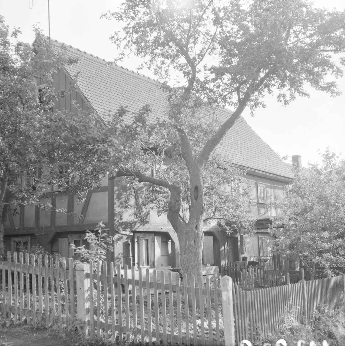 zespół zagrodowy - dom nr. 30 /pierwotnie?/ - widok ogólny, skan 1