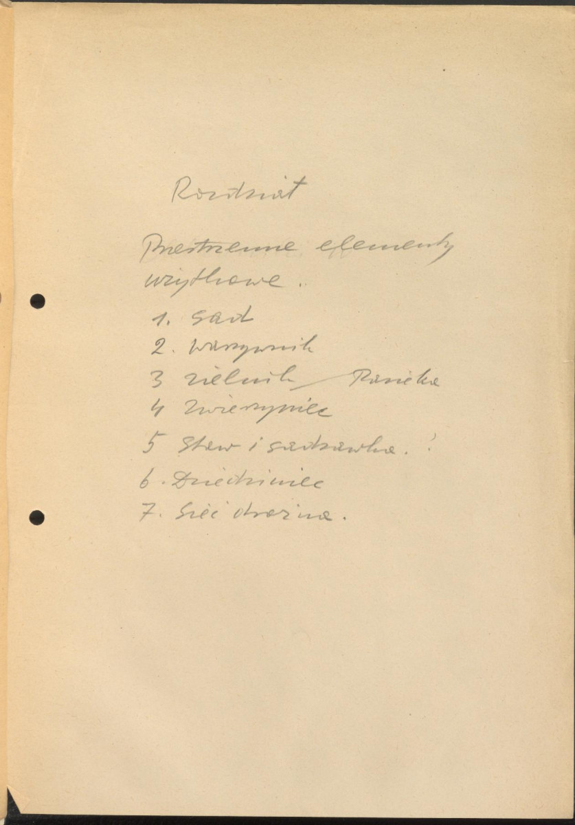 el. przestrzenne; sytuacja ogólna; elem. zagosp., skan 10