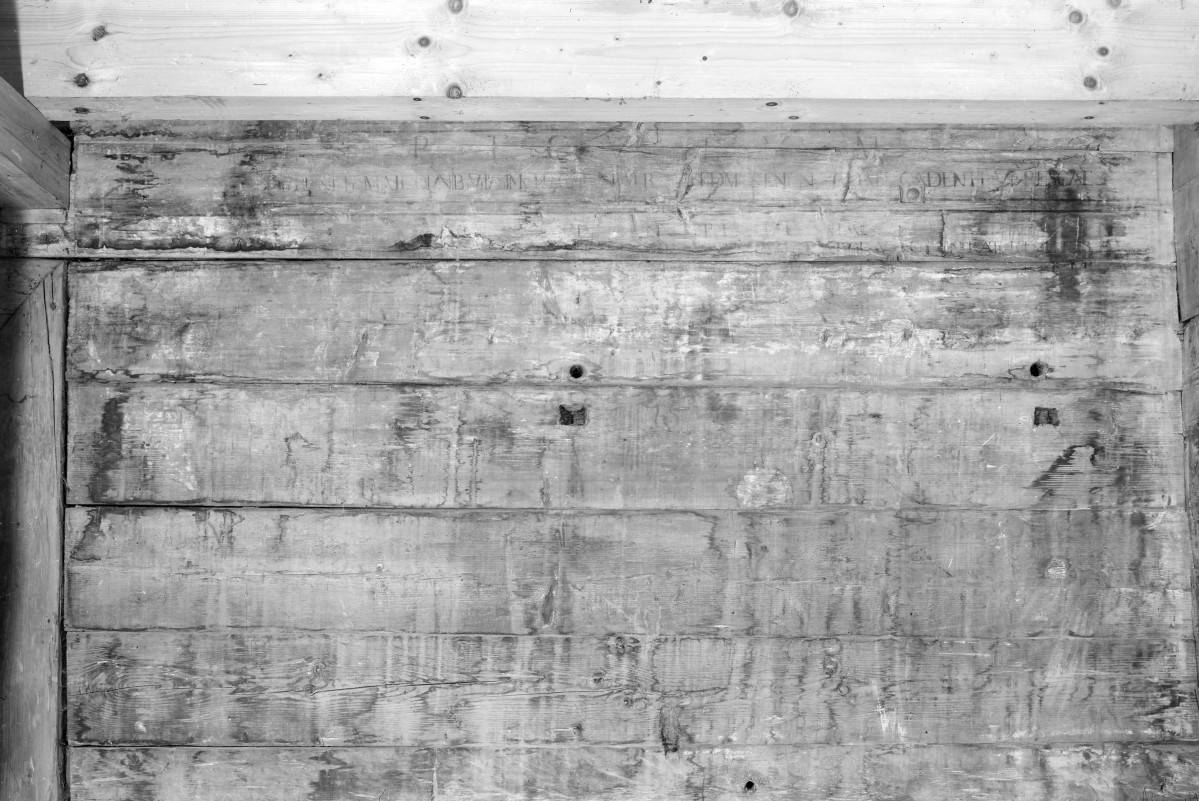 kościół pw. św. Elżbiety Węgierskiej - wnętrze - nawa główna - polichromia - fragment, skan 1