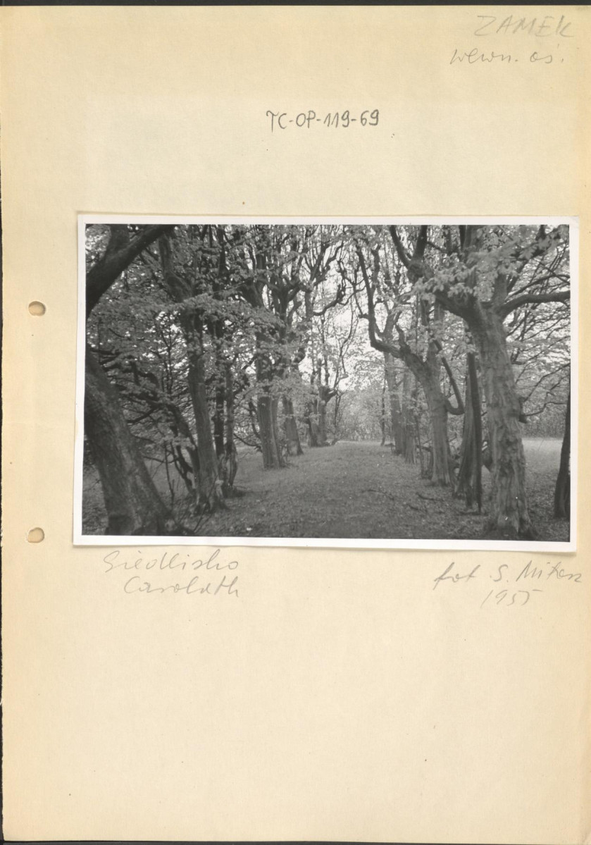 czarno - biała fotografia przedstawiająca szpaler drzew umiejscowionych według opisu w miejscowości: "Siedlisko Carolath, zamek wewn. oś.", skan 1