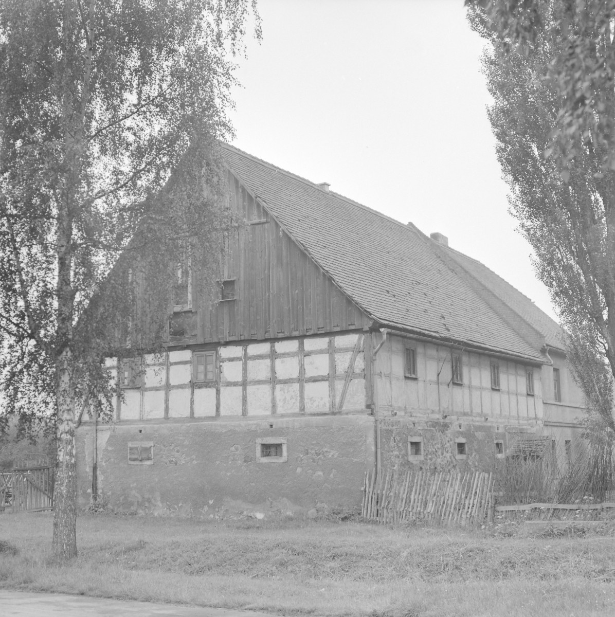 zespół zagrodowy - dom nr. 52 / stodoła - widok ogólny, skan 1