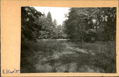 park krajobrazowy, skan 2