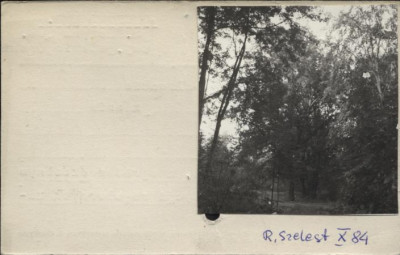 park, skan 2