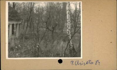 cmentarz komunalny, skan 2