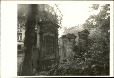 cmentarz komunalny, skan 4