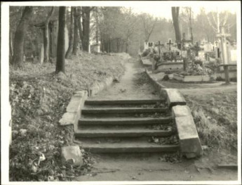 cmentarz komunalny, skan 6