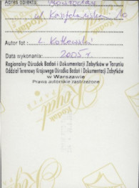 dom, skan 7