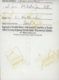 dom, skan 7