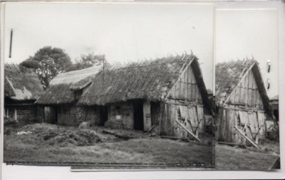obora, skan 3