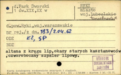 park dworski, skan 1