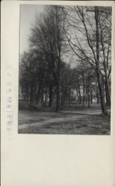 park krajobrazowy w zesp. pałacowym, skan 2