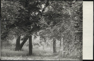 park krajobrazowy - zespół dworski II, skan 2
