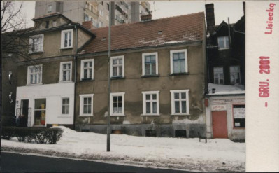 dom, skan 2