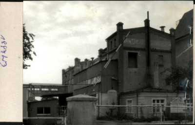 mleczrnia, skan 2