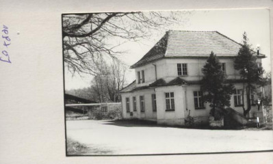 willa, skan 2
