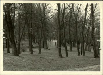 park geometryczny, skan 3