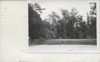 zespół pałacowy - park, skan 2