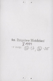 zagroda, skan 2