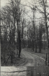 park dworski, skan 2