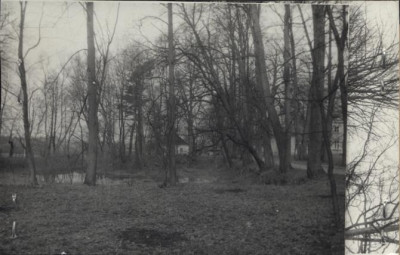 park dworski, skan 3