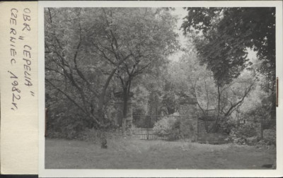 park dworski, skan 2