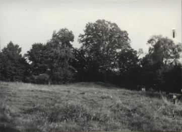 park w zespole dworskim, skan 3