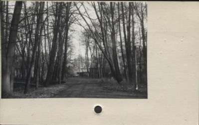 park, skan 2