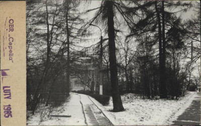park, skan 2