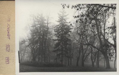 park dworski, skan 2