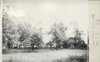 park dworski, skan 2