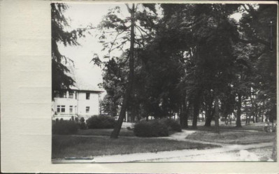 park, skan 2