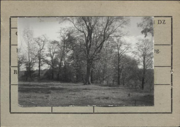 park krajobrazowy (stawy groble), skan 3